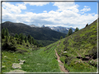 foto Malga Val Cion